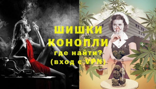 гашик Лагань