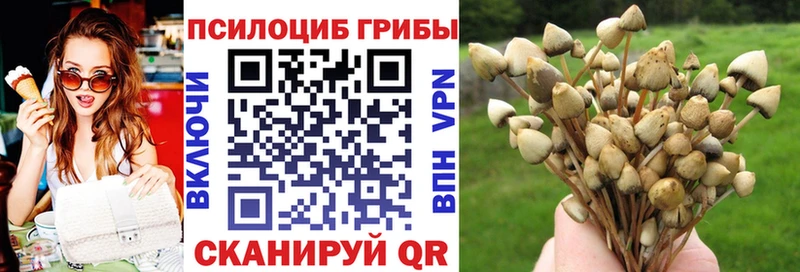 купить наркотик Миллерово Псилоцибиновые грибы Magic Shrooms