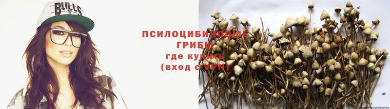 Галлюциногенные грибы MAGIC MUSHROOMS  Миллерово 